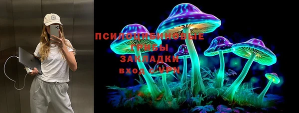 крисы Баксан
