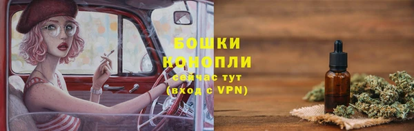 индика Балахна