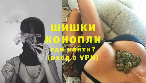 сатива Балабаново