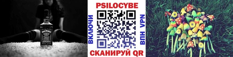 Галлюциногенные грибы Cubensis  Кизилюрт 